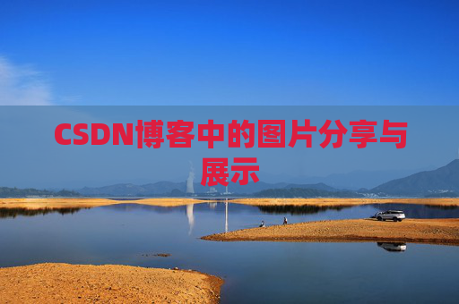 CSDN博客中的图片分享与展示